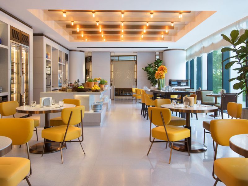ANDAZ 5 (WEB)