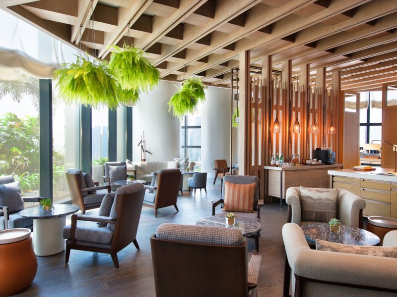 ANDAZ 6 (WEB)